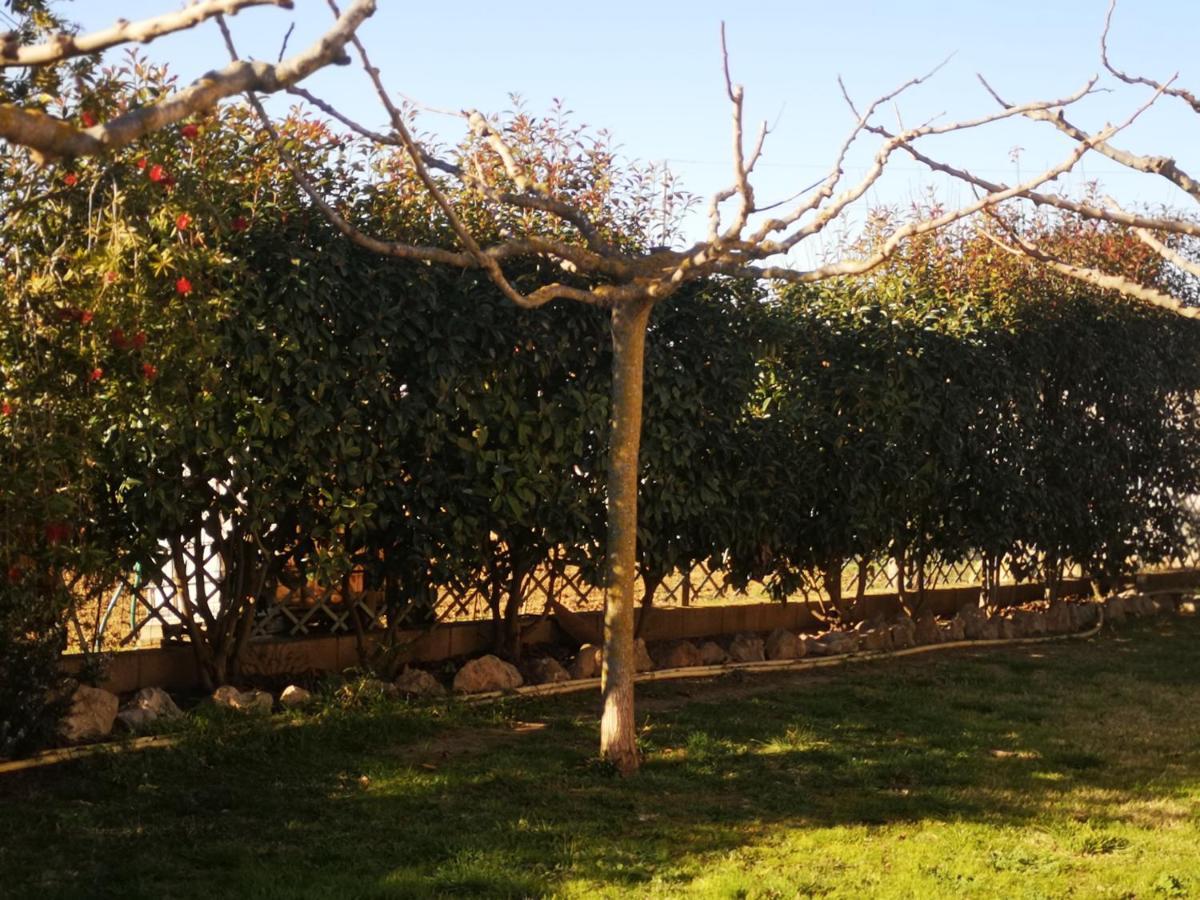 Casa Rural, Masia Antigua Restaurada Бегур Екстериор снимка